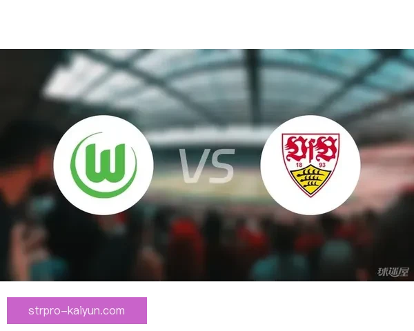 德甲沃尔夫斯堡球迷的支持表现稳健，成为球队主场不可忽视的第12人。